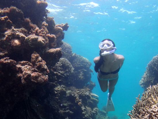 パナリ（新城島）シュノーケリング　ツアーでしか行けない人魚伝説の島へ上陸！ビーチパラソル＆チェア無料レンタルOK＜石垣市街地送迎可／石垣島発＞