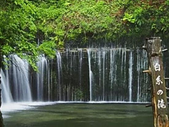 【貸切】ローカルドライバーが軽井沢の定番スポットを専用車でご案内！＜5時間 or 2.5時間／ガイド付／軽井沢町＞