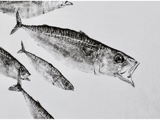 アジのサビキ釣り体験 釣った魚で魚拓 南蛮漬け作り体験付き 午前 昼食付き 金沢の観光 遊び 体験 レジャー専門予約サイト Veltra ベルトラ アジのサビキ釣り体験 釣った魚で魚拓 南蛮漬け作り体験付き 午前 昼食付き 金沢の観光 遊び 体験 レジャー専門予約サイト Veltra ベルトラ