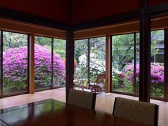 quietness
