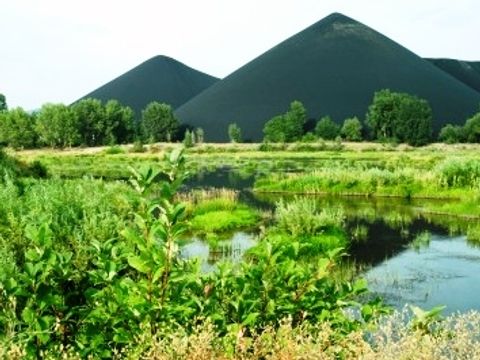 エバーグレーズ国立公園 アメリカの世界遺産 マイアミの観光 オプショナルツアー専門 Veltra ベルトラ エバーグレーズ国立公園 アメリカの世界遺産 マイアミの観光 オプショナルツアー専門 Veltra ベルトラ