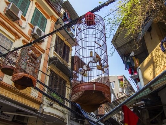 午後発！ハノイのマストスポットを半日に詰め込んだ市内観光ツアー  ダックキム夕食付きプランあり＜半日／送迎付／日本語ガイド＞