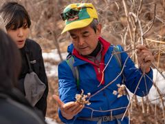 トレッキングの途中では浅間山山麓の植生なども紹介