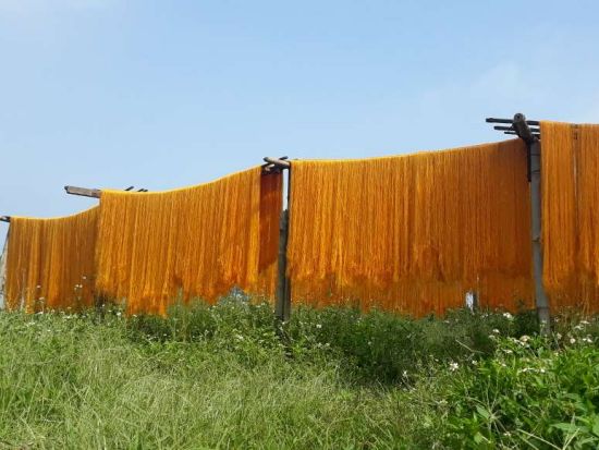 ハノイ市内から郊外まで大満喫1日ツアー！ハノイ市内の人気観光スポットから、郊外のトーハー村やドンキー村も1日で効率よく周る＜1日／送迎／日本語ガイド／昼食付＞