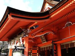 sengen_008