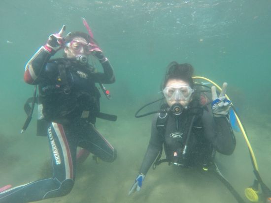 体験ダイビング 勝浦の海でダイビングデビュー！＜ビーチ／1～2ダイブ／勝浦市＞by マイダイブ