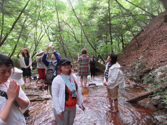 源泉かけ流しラジウム温泉「増富の湯」でリラクゼーション体験　気功レッスン＆お食事付き＜タオル・館内着付き／増富の湯／北杜市＞