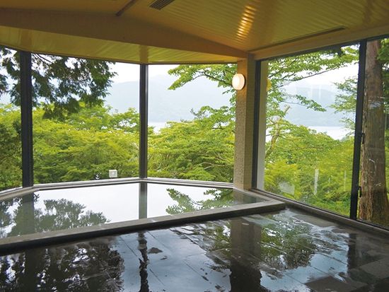 絶景日帰り温泉 龍宮殿本館 日帰り入浴予約 手ぶら利用可 昼食 個室付きプランあり 新宿発着ロマンスカーセット 箱根 小田原の観光 遊び 体験 レジャー専門予約サイト Veltra ベルトラ 絶景日帰り温泉 龍宮殿本館 日帰り入浴予約 手ぶら利用可 昼食 個室付きプランあり 新宿発着ロマンスカーセット 箱根 小田原の観光 遊び 体験 レジャー専門予約サイト Veltra ベルトラ