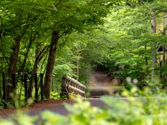 木立の別荘地をサイクリング