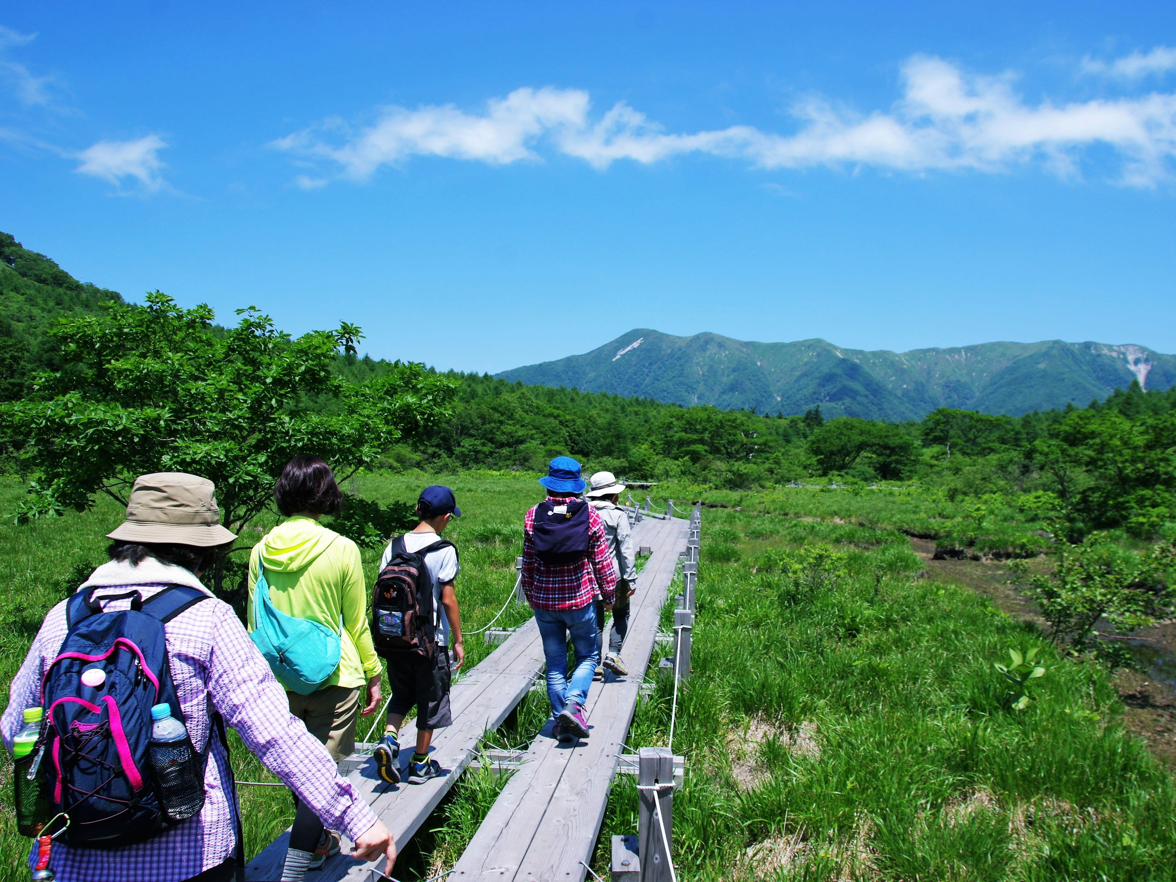 板室温泉 ネイチャーツアー 自然の中をゆったりハイキング 那須を熟知したネイチャーガイドがご案内 6歳 参加ok 午前or午後 那須板室 那須 板室 栃木 の観光 オプショナルツアー専門 Veltra ベルトラ