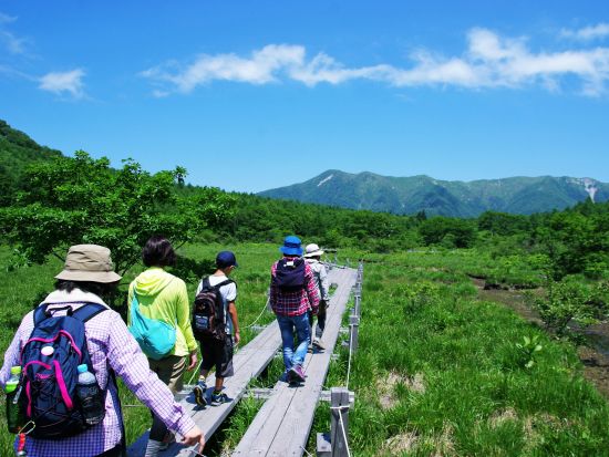 板室温泉　ネイチャーツアー　自然の中をゆったりハイキング　那須を熟知したネイチャーガイドがご案内　6歳～参加OK＜午前or午後／那須板室＞