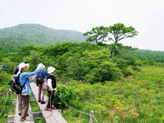 板室温泉　ネイチャーツアー　自然の中をゆったりハイキング　那須を熟知したネイチャーガイドがご案内　6歳～参加OK＜午前or午後／那須板室＞
