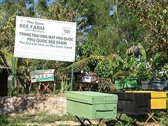 Bee Farm (3)