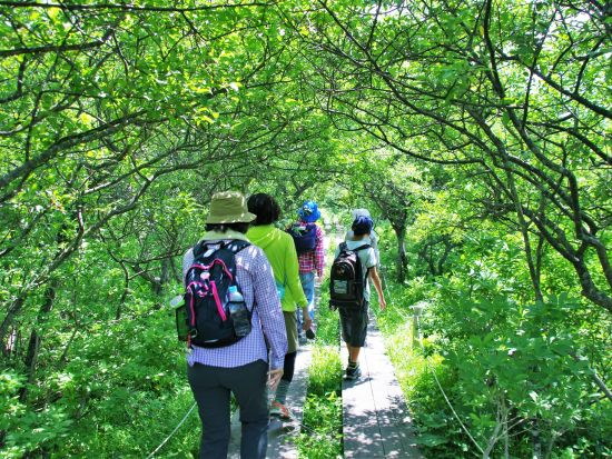 板室温泉　ネイチャーツアー　自然の中をゆったりハイキング　那須を熟知したネイチャーガイドがご案内　6歳～参加OK＜午前or午後／那須板室＞