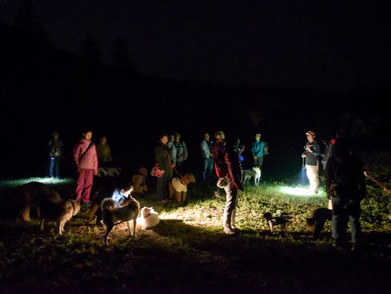 板室温泉 ナイトツアー 夜の森をお散歩！地元ネイチャーガイドがご案内　6歳～参加OK＜那須板室＞