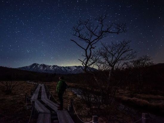 板室温泉 ナイトツアー 夜の森をお散歩！地元ネイチャーガイドがご案内　6歳～参加OK＜那須板室＞