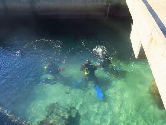 PADIオープンウォーター ダイビングライセンス取得コース 連日参加でなくてもOK！＜3日間／勝浦市＞by マイダイブ