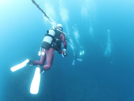 PADIアドバンスオープンウォーター ダイビングライセンス取得コース 連日参加でなくてもOK！＜2日間／勝浦市＞by マイダイブ