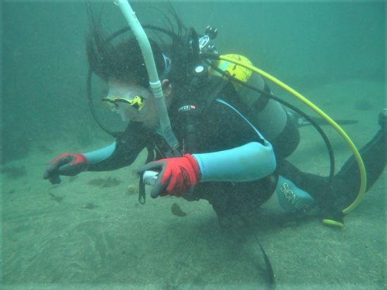 PADIオープンウォーター ダイビングライセンス取得コース 連日参加でなくてもOK！＜3日間／勝浦市＞by マイダイブ