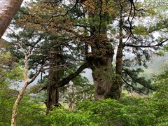 IMG_0485