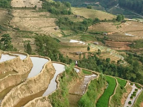  ムーカンチャイ1泊2日ツアー　ベトナムで最も美しい棚田見学＆少数民族の村を訪問 ＜食事付き／日本語ガイド／ハノイ発＞