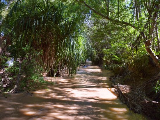 選べる「列車」または「日系企業運行バス」で行く！ファンティエット1泊2日 美しいビーチリゾートツアー ＜日本語ガイド付／部屋タイプ選択可／ホーチミン発＞