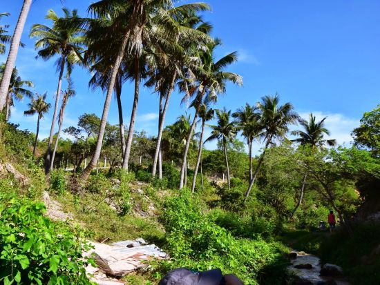 選べる「列車」または「日系企業運行バス」で行く！ファンティエット1泊2日 美しいビーチリゾートツアー ＜日本語ガイド付／部屋タイプ選択可／ホーチミン発＞