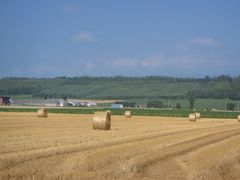 IMG_7667