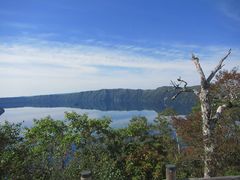 IMG_4221