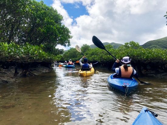 金作原（きんさくばる）原生林トレッキングツアー＋マングローブカヌー＜1日／名瀬＞ by アイランドサービス