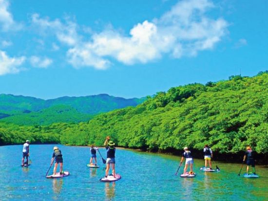 【ベストプライス】西表島マングローブSUPクルーズ＋選べる竹富島観光ツアー＜指定ホテル送迎選択可／石垣島発＞
