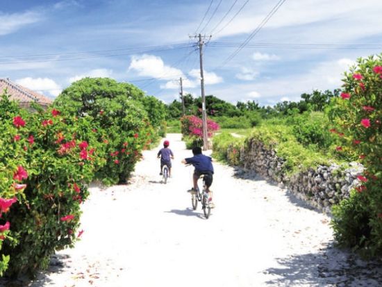 【ベストプライス】西表島バギー体験と由布島＋選べる竹富島観光で存分に楽しむ 嬉しい昼食付き！＜月水木金土日／指定ホテル送迎選択可／石垣島発＞