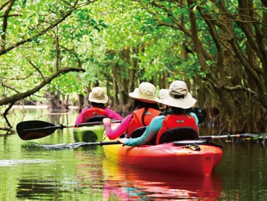 【ベストプライス】西表島マングローブカヌー+選べる竹富島観光ツアー　バス観光やレンタサイクルなど様々なプランをご案内＜指定ホテル送迎選択可／石垣島発＞