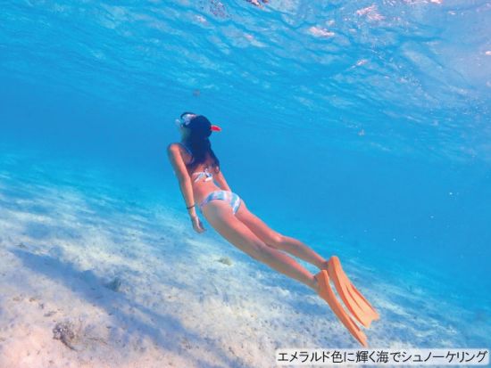 【ベストプライス】竹富島観光＋八重山諸島シュノーケリング　水牛車観光と選べるランチ付き＜1日／昼食／送迎＞