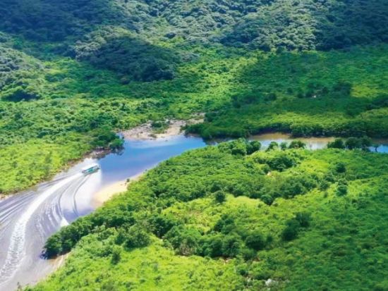 【ベストプライス】西表島マングローブSUPクルーズ＋選べる竹富島観光ツアー＜指定ホテル送迎選択可／石垣島発＞