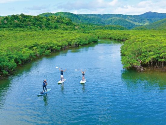 【ベストプライス】西表島マングローブSUPツアー　安定感のあるボードで亜熱帯の川をクルーズ　嬉しい昼食付き！＜指定ホテル送迎選択可／石垣島発＞