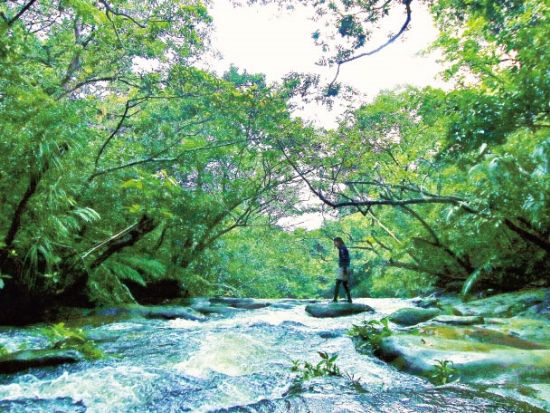 【ベストプライス】西表島キャニオニング（5～10月）または滝トレッキング（11～4月）＋選べる竹富島観光ツアー＜指定ホテル送迎選択可／石垣島発＞