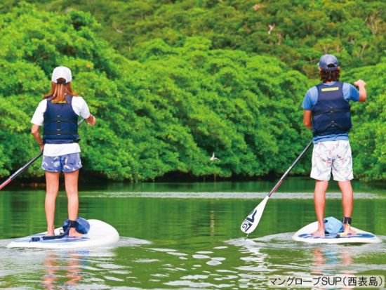 【ベストプライス】西表島マングローブSUPツアー　安定感のあるボードで亜熱帯の川をクルーズ　嬉しい昼食付き！＜指定ホテル送迎選択可／石垣島発＞