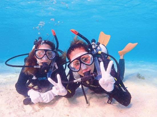 【ベストプライス】竹富島観光＋八重山諸島体験ダイビング　水牛車観光と選べるランチ付き＜1日／昼食／送迎＞