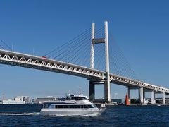_DSC9155