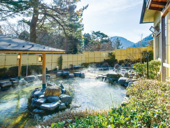 日帰りで行ける 箱根小涌園 ユネッサン 元湯 森の湯 新宿発着ロマンスカーセット 箱根 小田原の観光 遊び 体験 レジャー専門予約サイト Veltra ベルトラ 日帰りで行ける 箱根小涌園 ユネッサン 元湯 森の湯 新宿発着ロマンスカーセット 箱根 小田原の観光 遊び 体験 レジャー専門予約サイト Veltra ベルトラ
