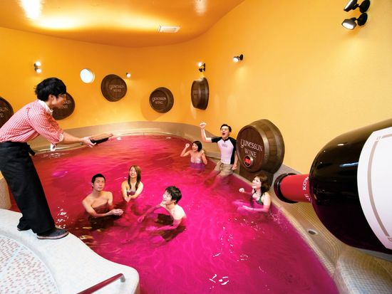 日帰りで行ける 箱根小涌園 ユネッサン 元湯 森の湯 新宿発着ロマンスカーセット 箱根 小田原の観光 遊び 体験 レジャー専門予約サイト Veltra ベルトラ 日帰りで行ける 箱根小涌園 ユネッサン 元湯 森の湯 新宿発着ロマンスカーセット 箱根 小田原の観光 遊び 体験 レジャー専門予約サイト Veltra ベルトラ