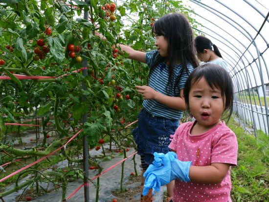 子どもと北海道 富良野 美瑛 旭川の観光 遊び 体験 レジャー専門予約サイト Veltra ベルトラ 子どもと北海道 富良野 美瑛 旭川の観光 遊び 体験 レジャー専門予約サイト Veltra ベルトラ