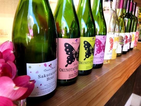 山梨　奥野田ワイナリー　ブドウ畑＆セラー見学ツアー　エコバッグ＆オリジナルポストカード付き！＜40分／試飲付／現地集合・解散／甲州市＞