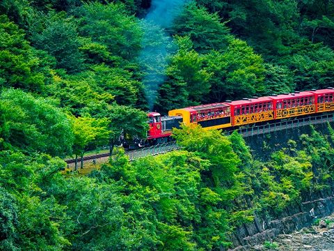 予約 京都 トロッコ 列車