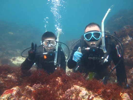 体験ダイビング お魚いっぱい！水中生物の宝庫「西川名」を潜る＜ビーチ／1ダイブ／館山市＞by 西川名ダイビングサービス