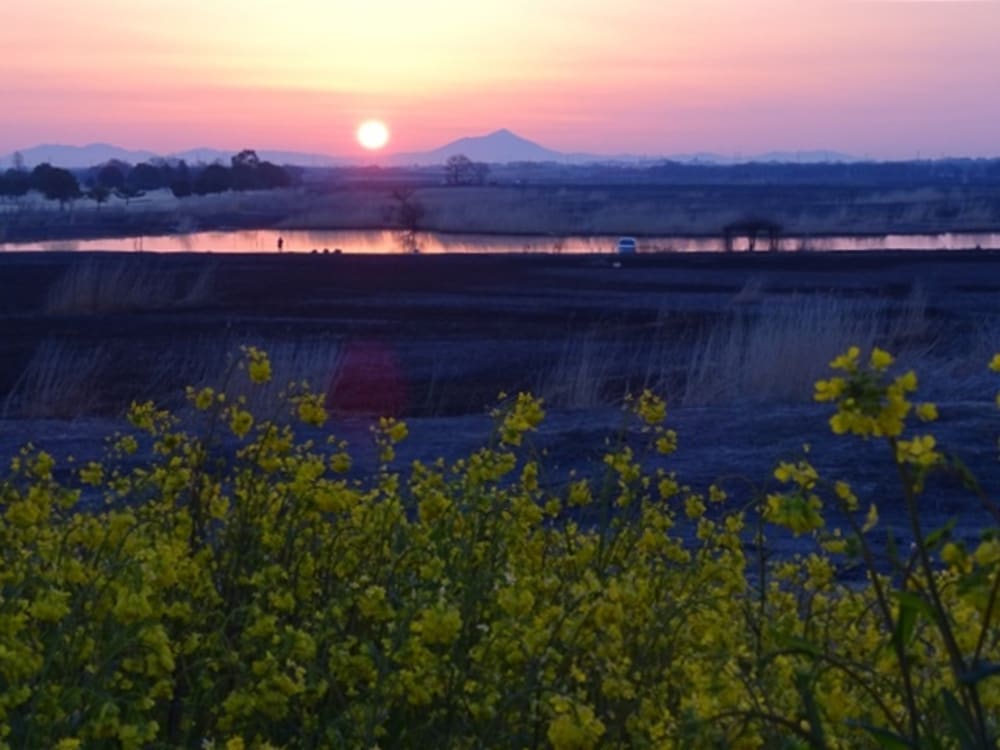 熱気球フリーフライト体験 朝日鑑賞 貸切フライトで関東平野の絶景を満喫 貸切 午前 渡良瀬 佐野 小山 足利 鹿沼 栃木 の観光 オプショナルツアー専門 Veltra ベルトラ