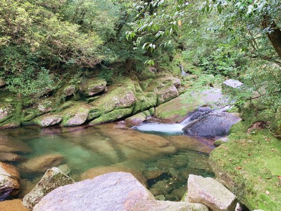 白谷雲水峡（太鼓岩まで）トレッキングツアー 午後の船や飛行機に間に合う早朝プランもあり 登山装備レンタル＆お弁当手配可能 by 屋久島ガイド21EC-K