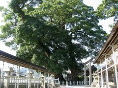 尾鷲神社