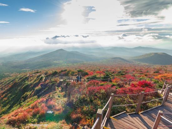 済州島を自由に観光　空港送迎オプション無料！＜貸切／8時間または4時間／日本語もしくは韓国語ドライバー／最大14名＞※車1台あたり料金